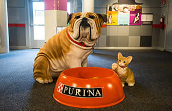 Pets Center