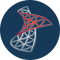 SQL Server